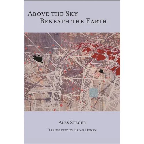 Above the Sky Beneath the Earth - Paperback