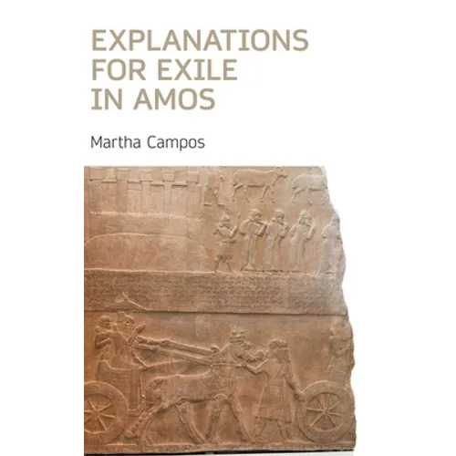 Explanations for Exile in Amos - Hardcover