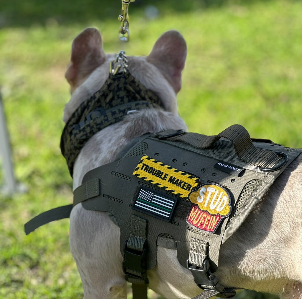 Stud Muffin Embroidered Morale Patch