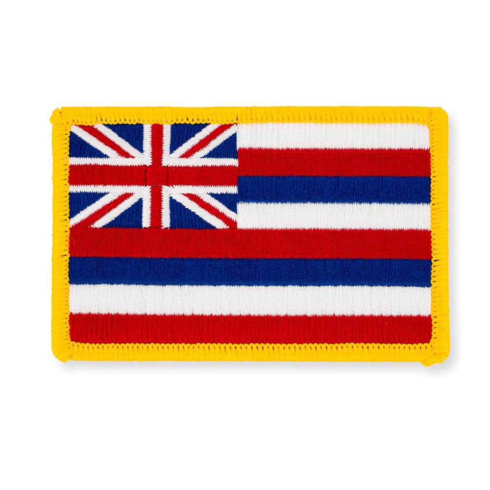 PinMart's Embroidered US State Flag Patch- Georgia Flag