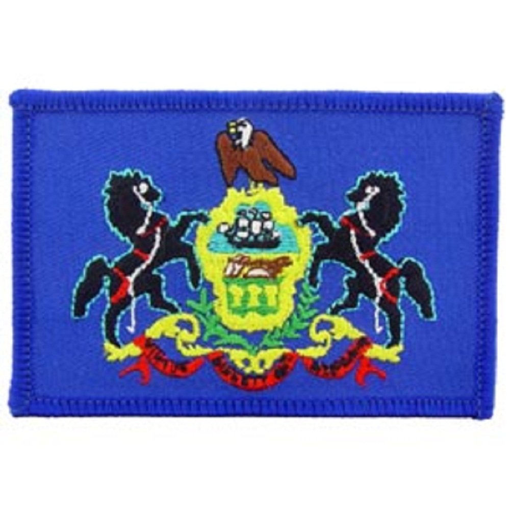 PinMart's Embroidered US State Flag Patch- Georgia Flag