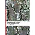 Abbreviated Criminal Procedures for Core International Crimes