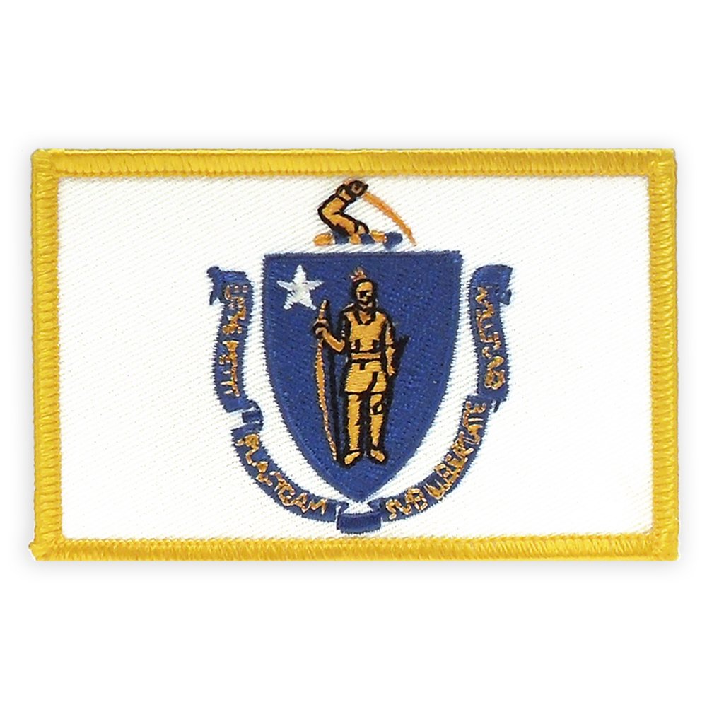 PinMart's Embroidered US State Flag Patch- Georgia Flag