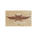 U.S. Air Force Cyberspace Operator (Basic) OCP Spice Brown Sew-on Badge