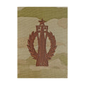 U.S. Air Force Missile Operator (Senior) OCP Spice Brown Badge