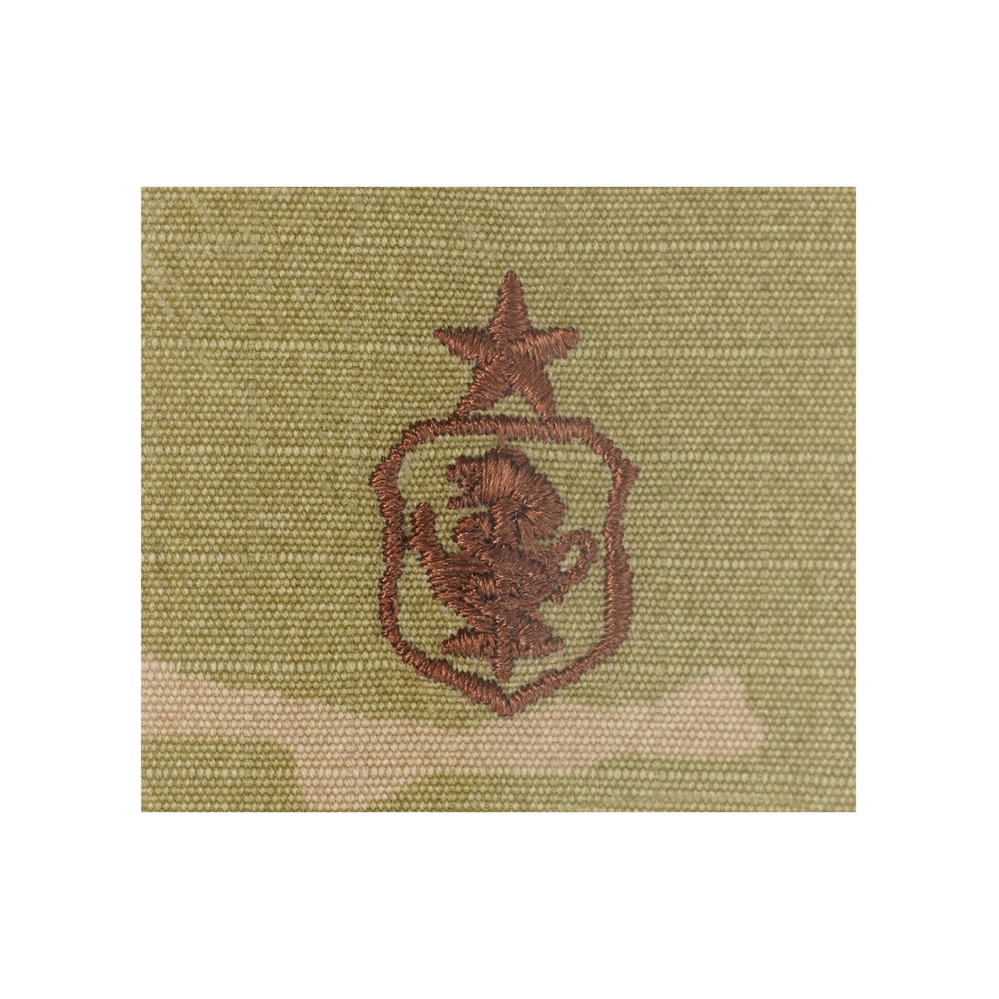 U.S. Air Force Nurse Senior OCP Spice Brown Badge