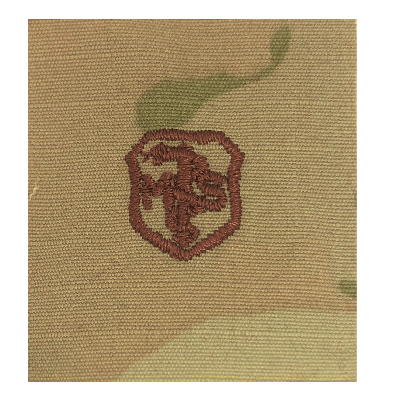 U.S. Air Force Medical Service Corps (Basic) OCP Spice Brown Badge
