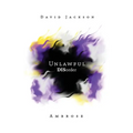 Unlawful DISorder - Paperback