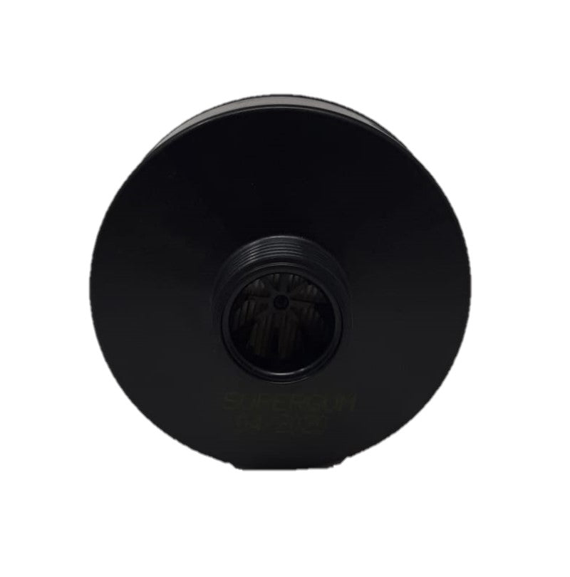 P3 Particulate Filter
