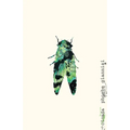 Cicada - Paperback