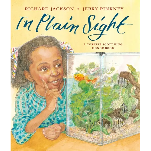 In Plain Sight - Paperback
