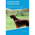 Irish Red Setter Training Guide Irish Red Setter Training Includes: Irish Red Setter Tricks, Socializing, Housetraining, Agility, Obedience, Behaviora - Paperback