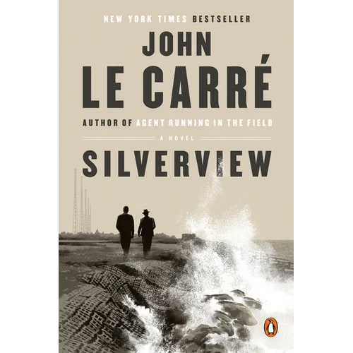 Silverview - Paperback