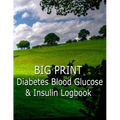 Big Print Diabetes Blood Sugar and Insulin Log - Paperback