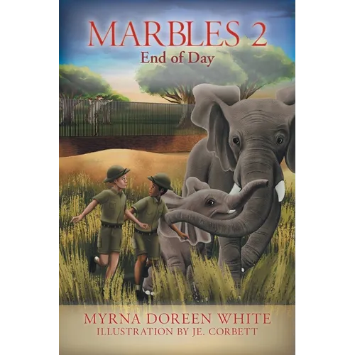 Marbles 2: End of Day - Paperback