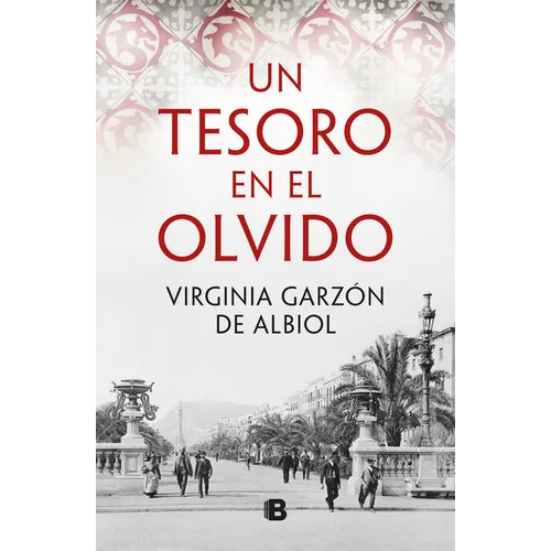 Un Tesoro En El Olvido / Forgotten Treasure - Paperback