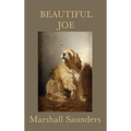 Beautiful Joe - Hardcover