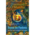 Beyond the Pandemic: Spiritual and Ecological Challenges - Paperback