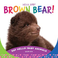 Hello Baby Brown Bear! - Board Book