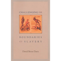 Challenging the Boundaries of Slavery