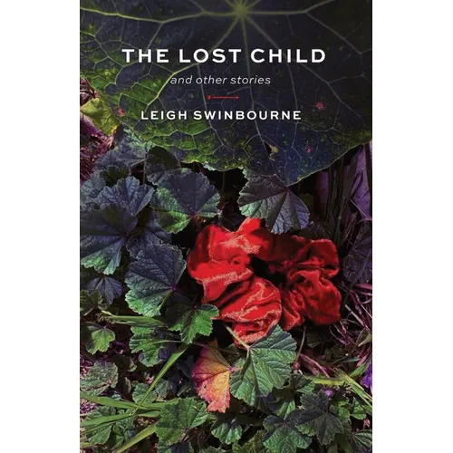 The Lost Child: and other stories - Paperback