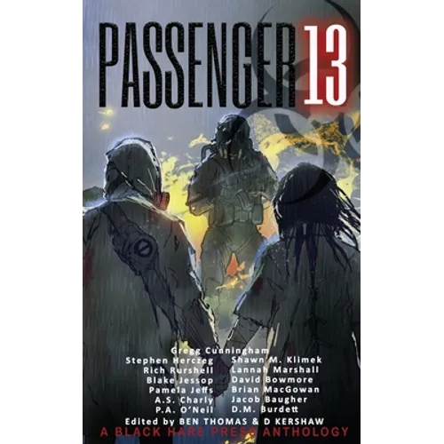 Passenger 13 - Paperback