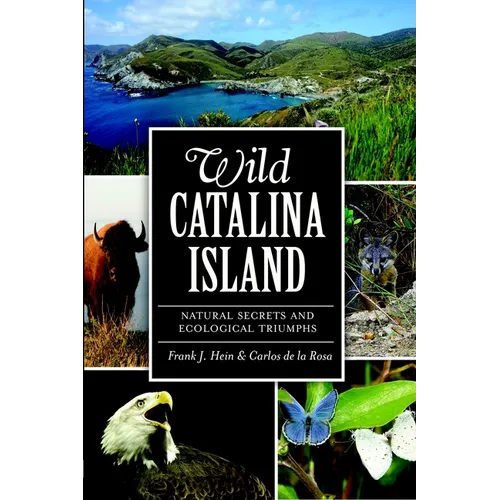 Wild Catalina Island: Natural Secrets and Ecological Triumphs - Paperback