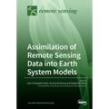 Assimilation of Remote Sensing Data into Earth System Models - Paperback