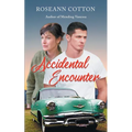 Accidental Encounter - Paperback