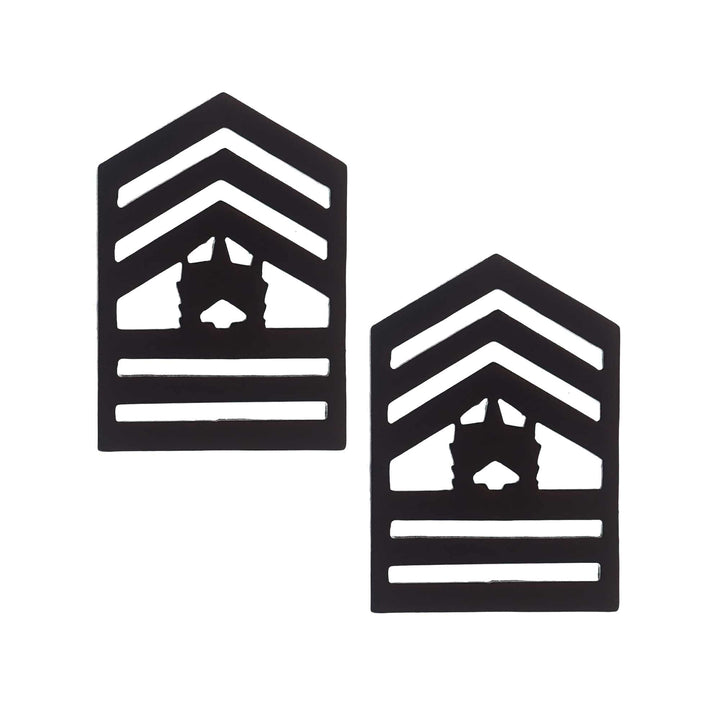 ROTC STA-BRITE® BLACK Rank