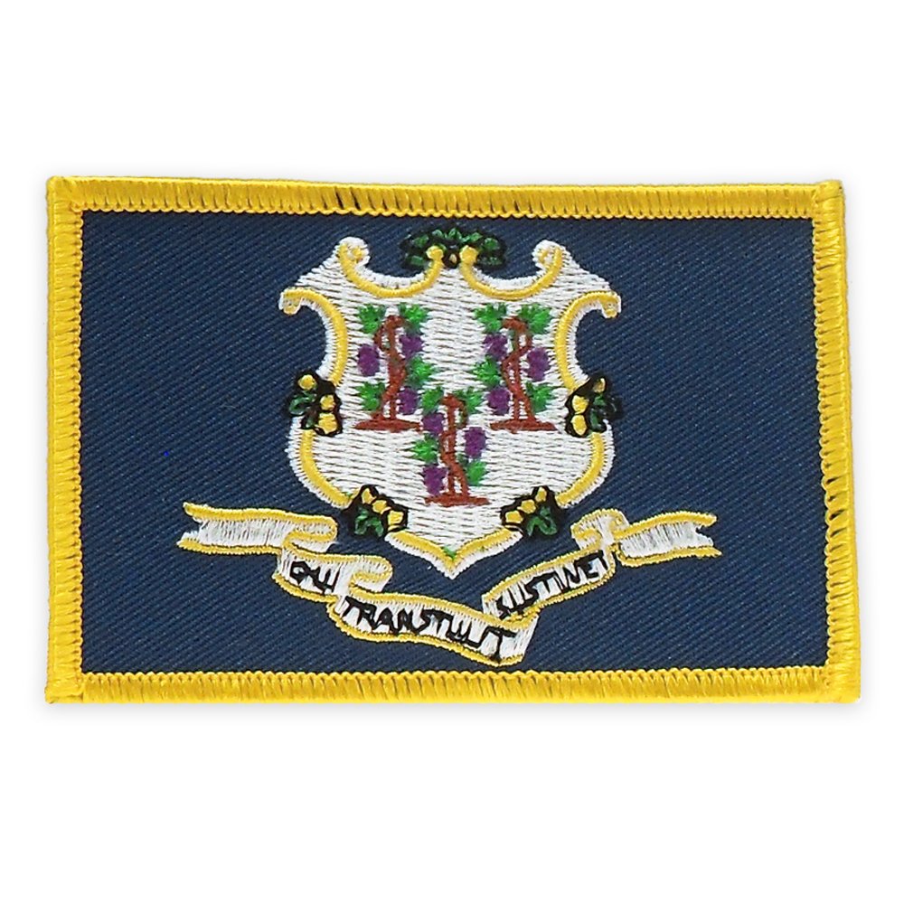 PinMart's Embroidered US State Flag Patch- Georgia Flag