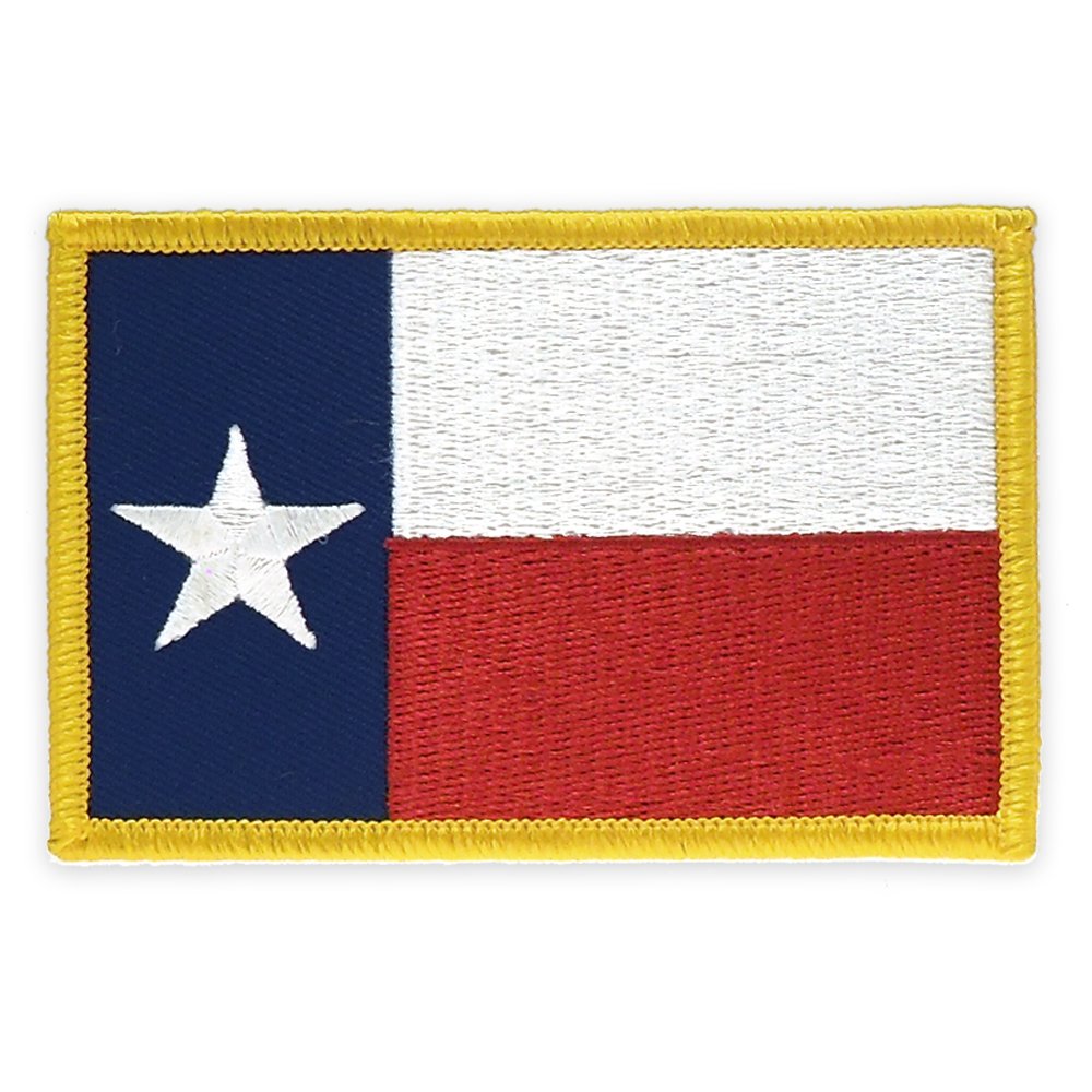 PinMart's Embroidered US State Flag Patch- Georgia Flag