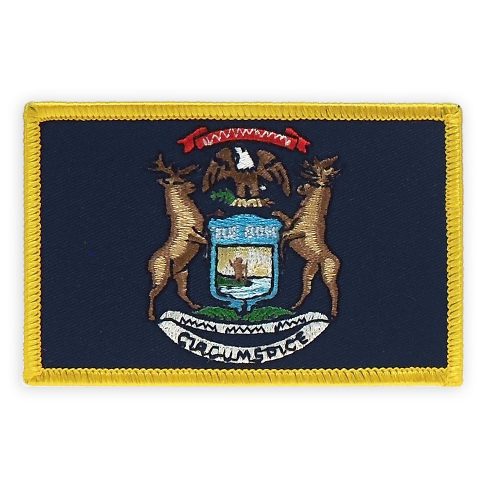 PinMart's Embroidered US State Flag Patch- Georgia Flag
