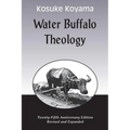 Water Buffalo Theology (Anniversary (Anniversary) - Paperback