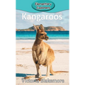 Kangaroos - Hardcover