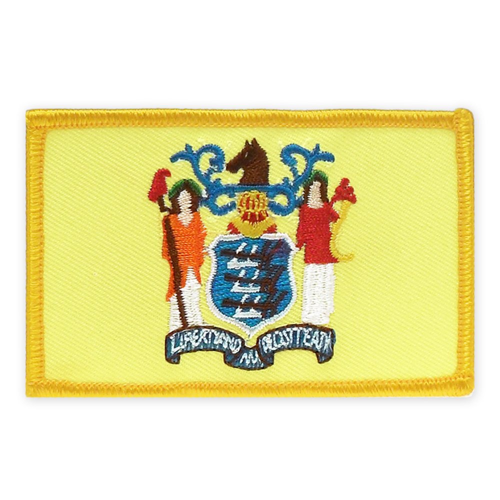 PinMart's Embroidered US State Flag Patch- Georgia Flag