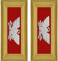 Army Officer Field Artillery Shoulder Boards (Female, Colonel)