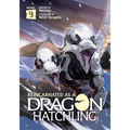 Reincarnated as a Dragon Hatchling (Light Novel) Vol. 9 - Paperback