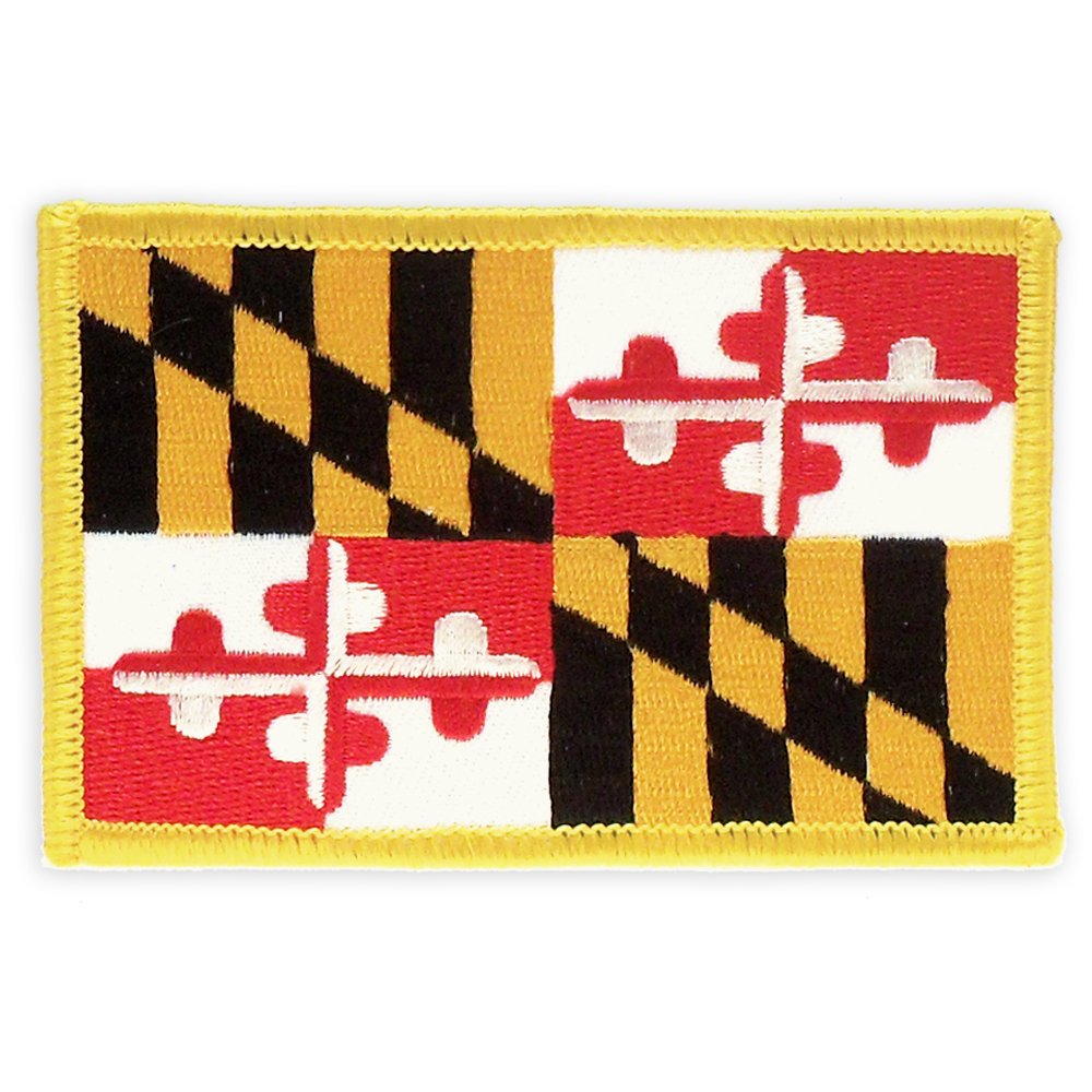PinMart's Embroidered US State Flag Patch- Georgia Flag