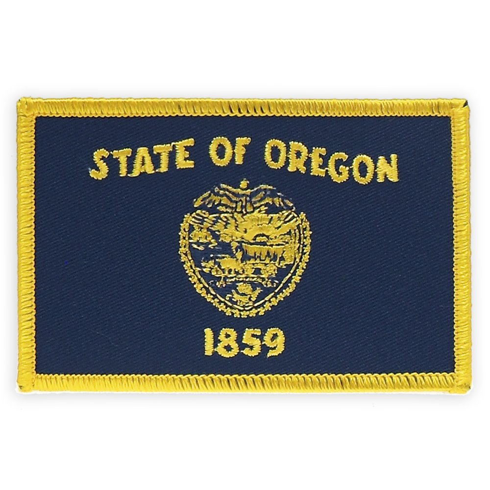 PinMart's Embroidered US State Flag Patch- Georgia Flag
