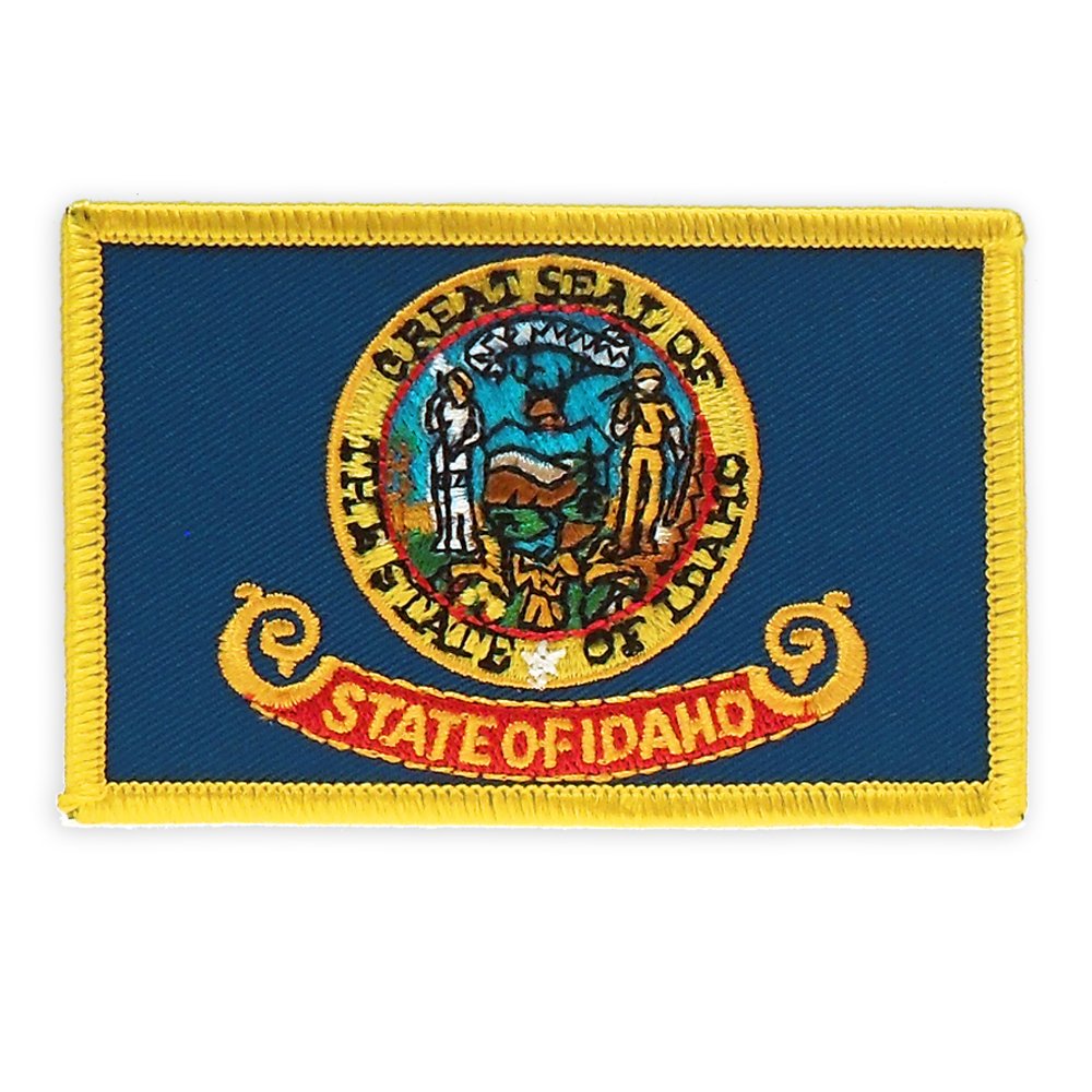 PinMart's Embroidered US State Flag Patch- Georgia Flag