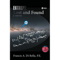Entropy: Lost and Found - Paperback