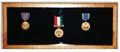 Small Medal Display Case