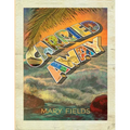 Carried Away - Paperback