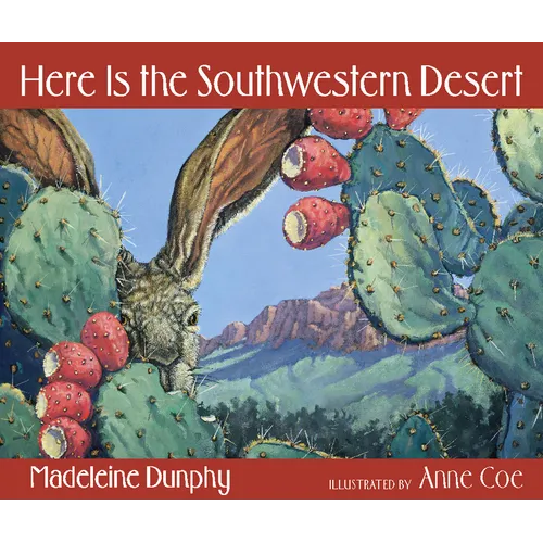 Here Is the Southwestern Desert - Paperback
