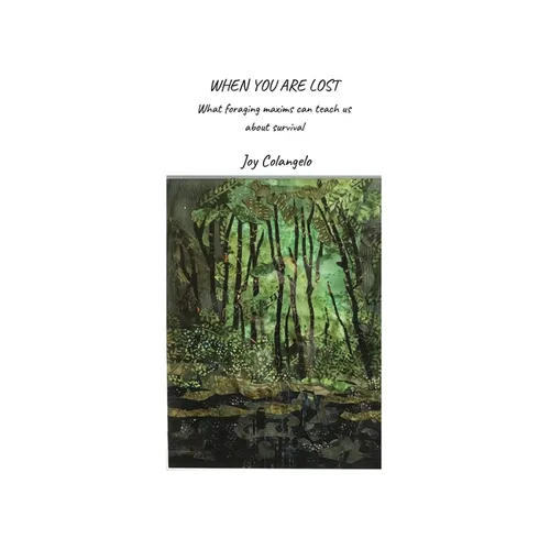 When You Are Lost: What foraging maxims can teach us about survival - Paperback