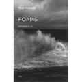 Foams: Spheres Volume III: Plural Spherology - Hardcover
