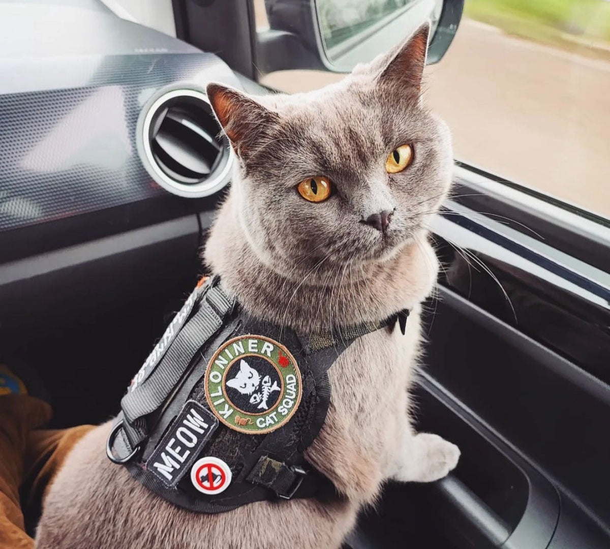 MEOW Morale Patch