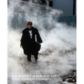 The Private Eye in Public Art - Hardcover