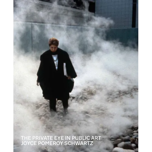 The Private Eye in Public Art - Hardcover